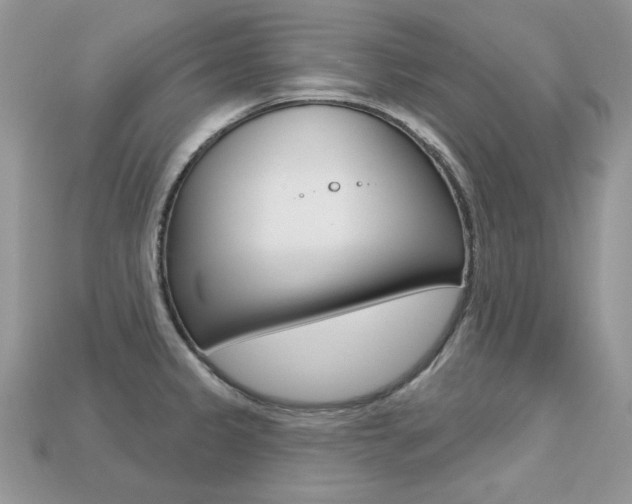 X0000113231333200909100935