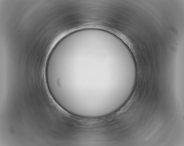 X0000113231334200909100935