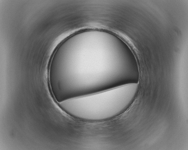X0000113231335200909100935