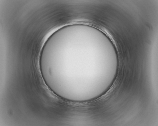 X0000113231336200909100935