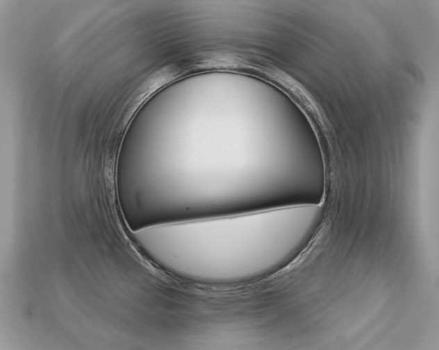 X0000113231337200909100935