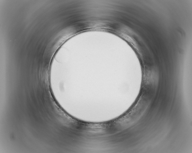X0000113231338200909100935