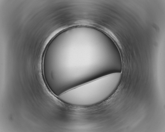 X0000113231339200909100935