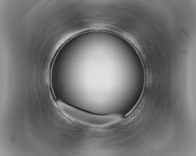 X0000113231342200909100935