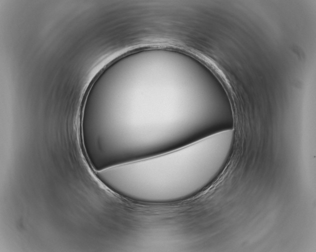 X0000113231343200909100935