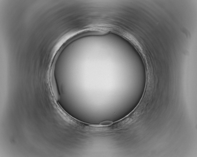 X0000113231344200909100935