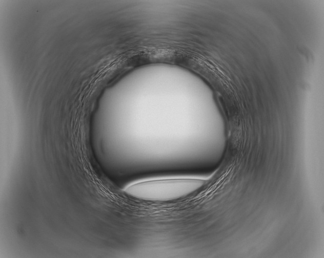 X0000113231345200909100935