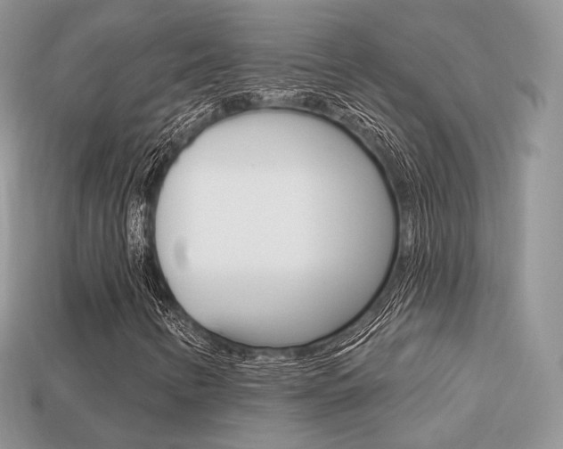 X0000113231346200909100935