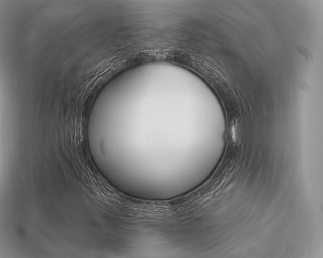 X0000113231347200909100935