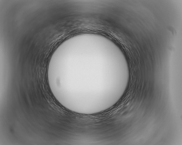 X0000113231348200909100935