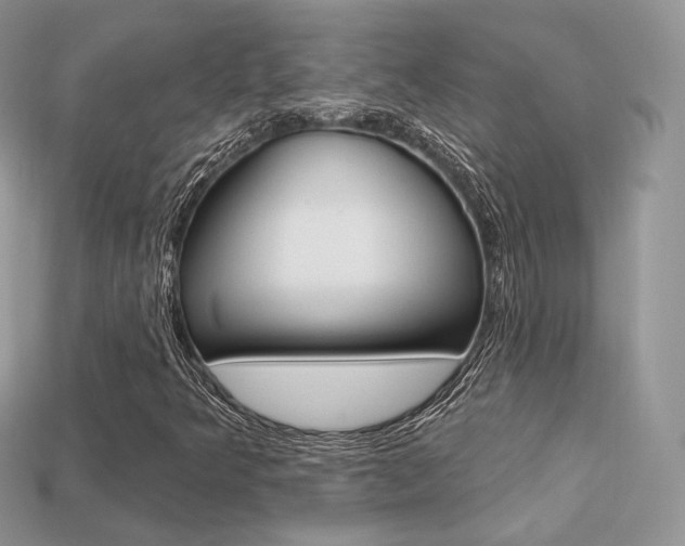 X0000113231349200909100935