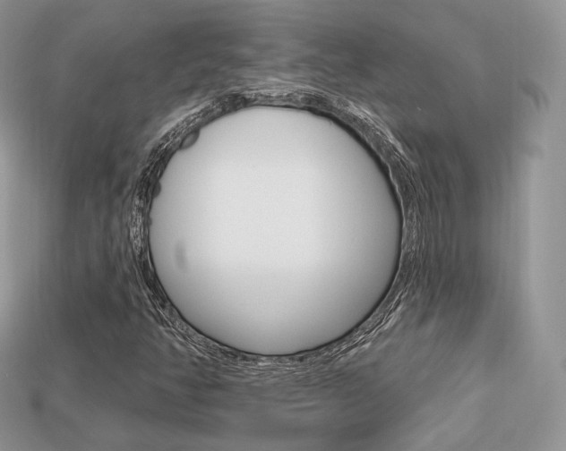 X0000113231350200909100935