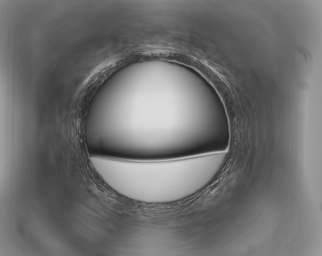 X0000113231351200909100935