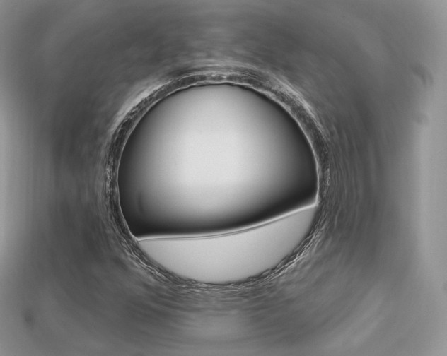 X0000113231352200909100935
