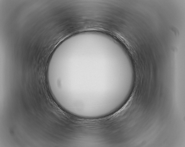 X0000113231353200909100935