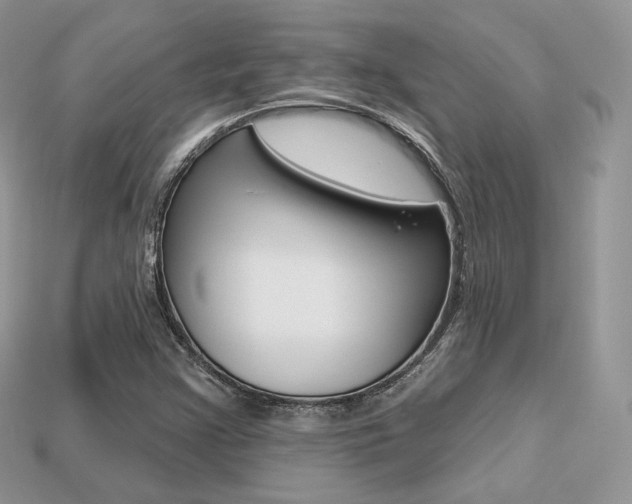 X0000113231355200909100935