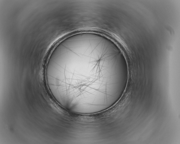 X0000113231356200909100935