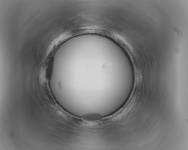 X0000113231357200909100935