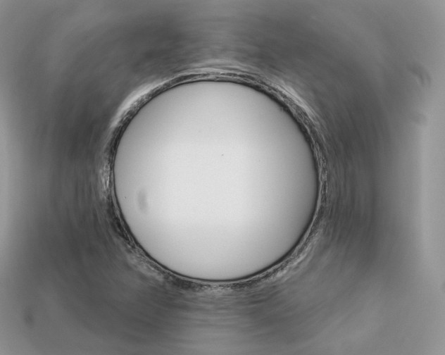 X0000113231358200909100935