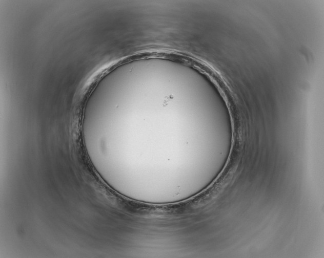 X0000113231359200909100935