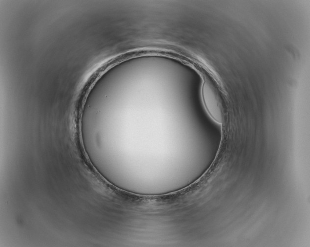 X0000113231360200909100935