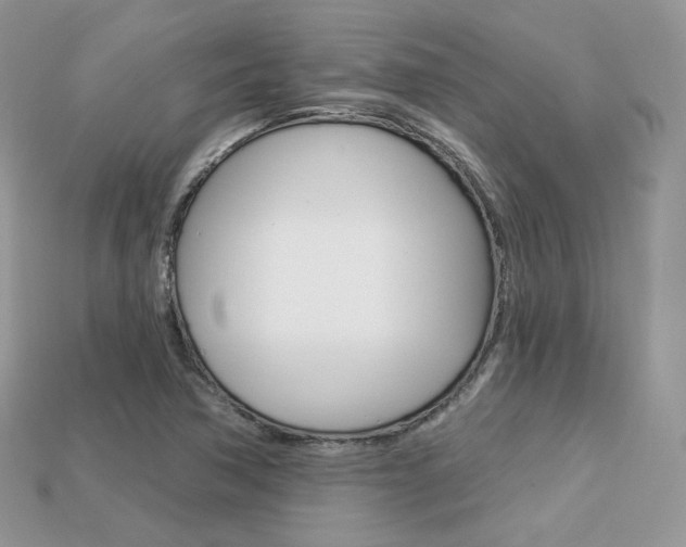 X0000113231362200909100935