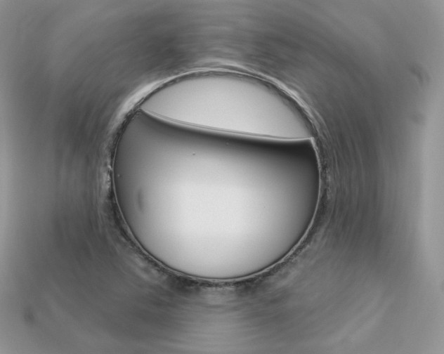 X0000113231363200909100935