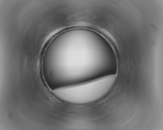 X0000113231364200909100935