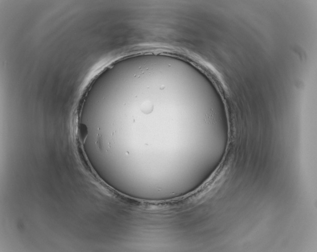 X0000113231365200909100935