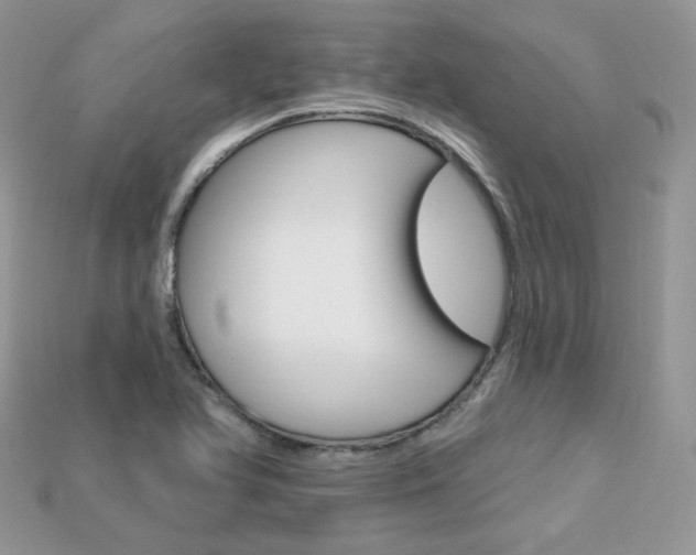 X0000113231366200909100934