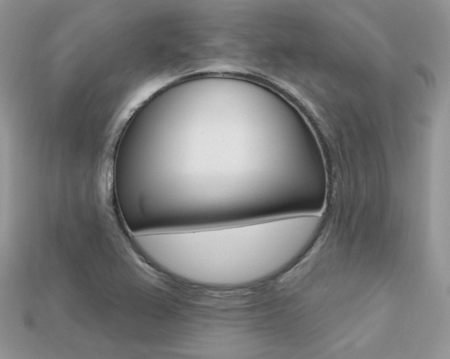 X0000113231367200909100934