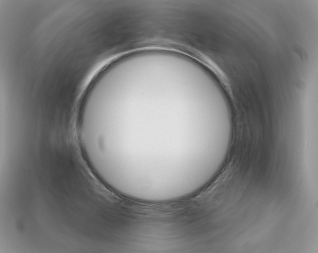 X0000113231368200909100934
