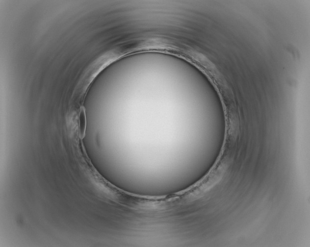 X0000113231369200909100934