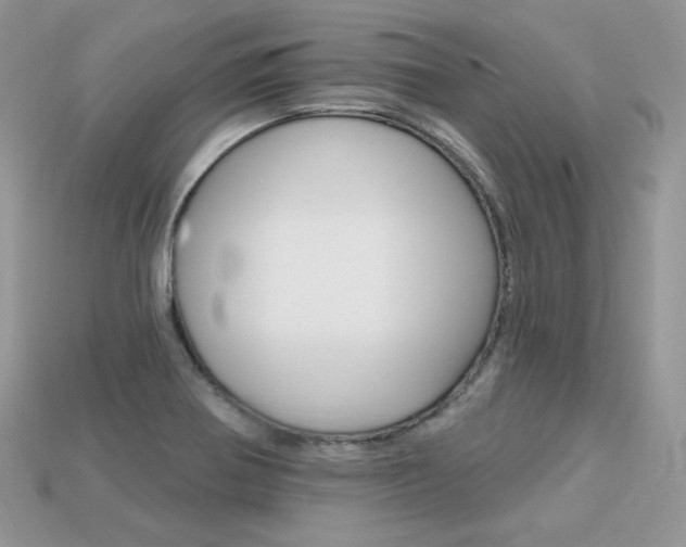 X0000113231370200909100934
