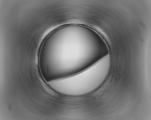 X0000113231372200909100934