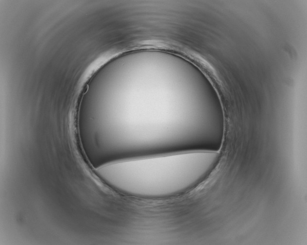X0000113231373200909100934