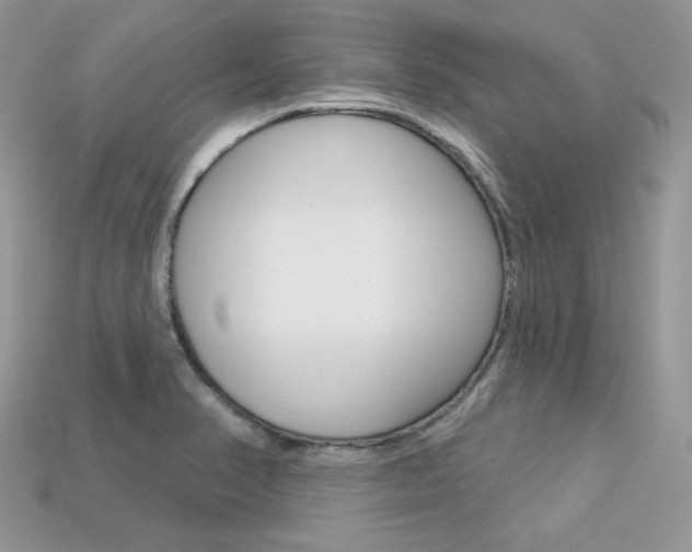 X0000113231374200909100934
