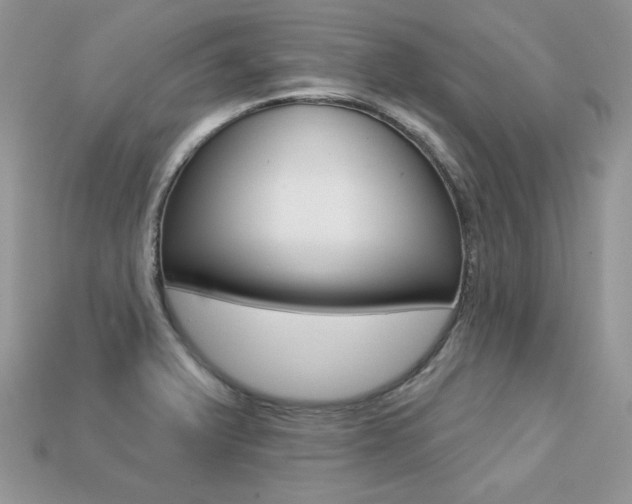 X0000113231375200909100934