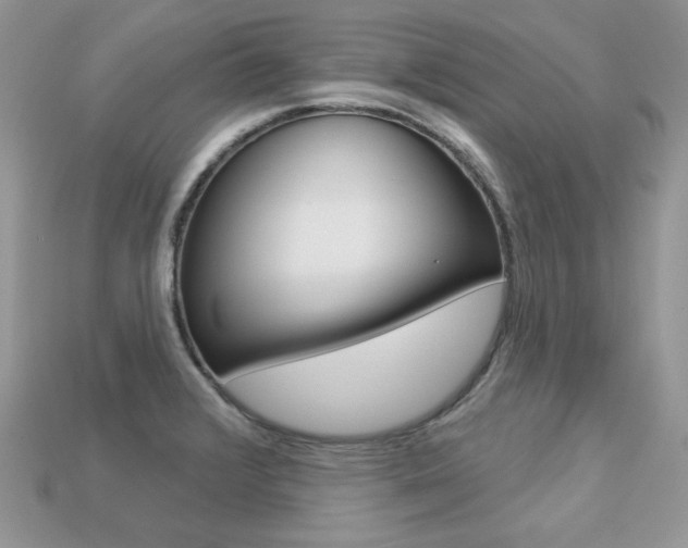 X0000113231376200909100934