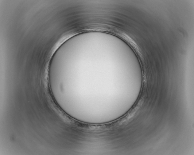 X0000113231378200909100934