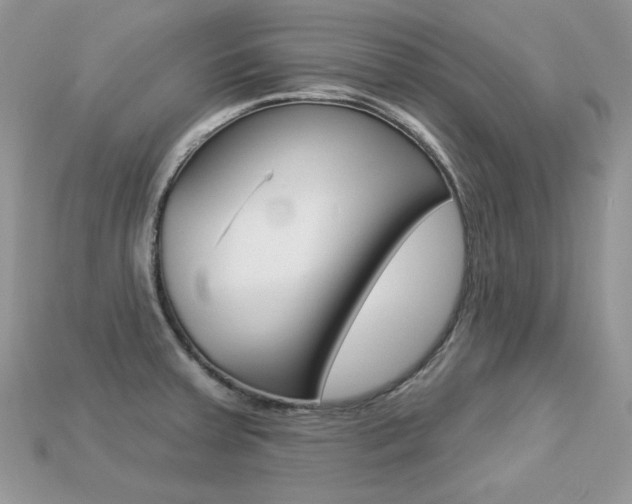 X0000113231379200909100934