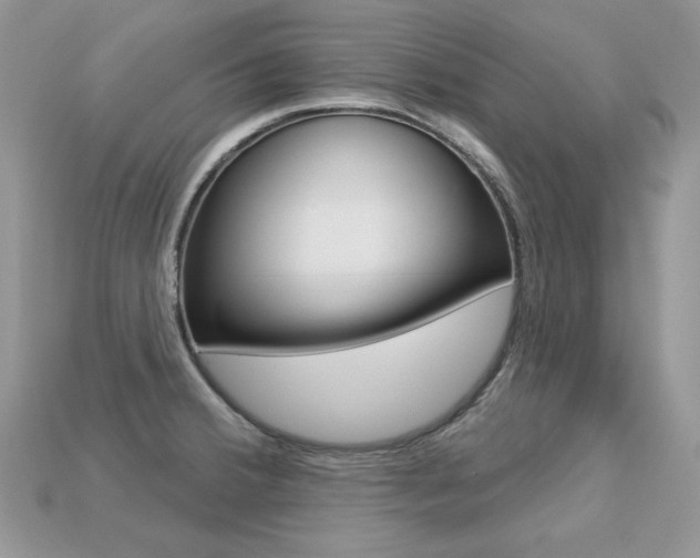 X0000113231380200909100934