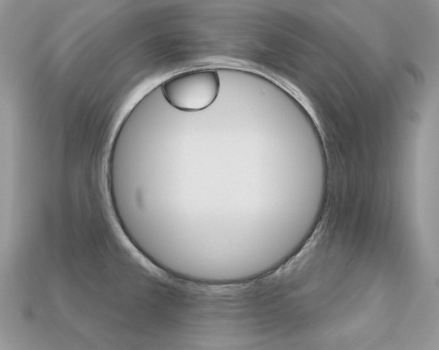 X0000113231381200909100934