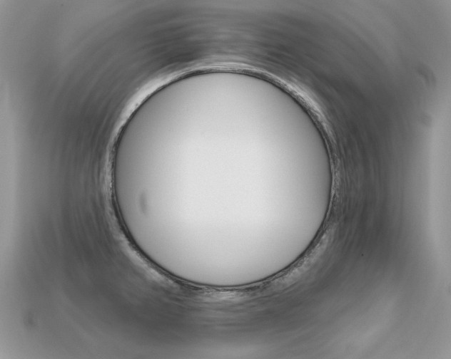 X0000113231382200909100934