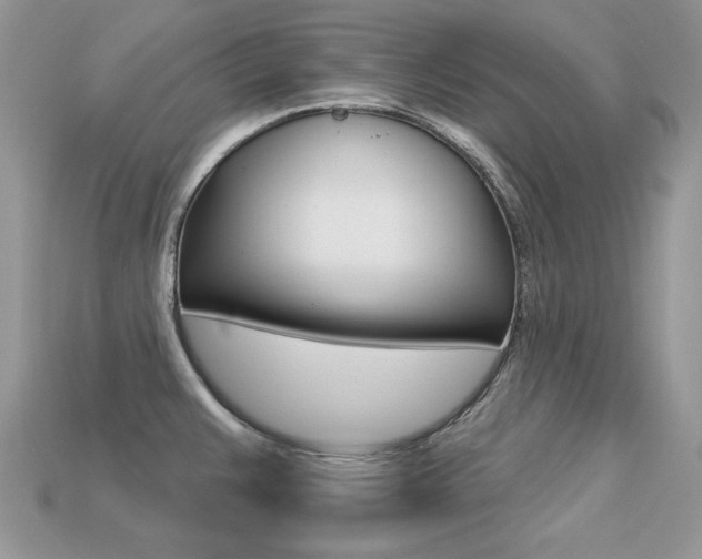 X0000113231383200909100934