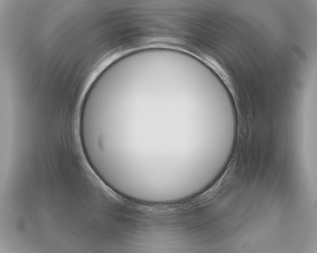 X0000113231384200909100934