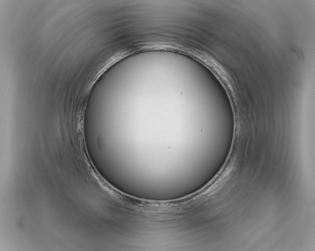 X0000113231385200909100934