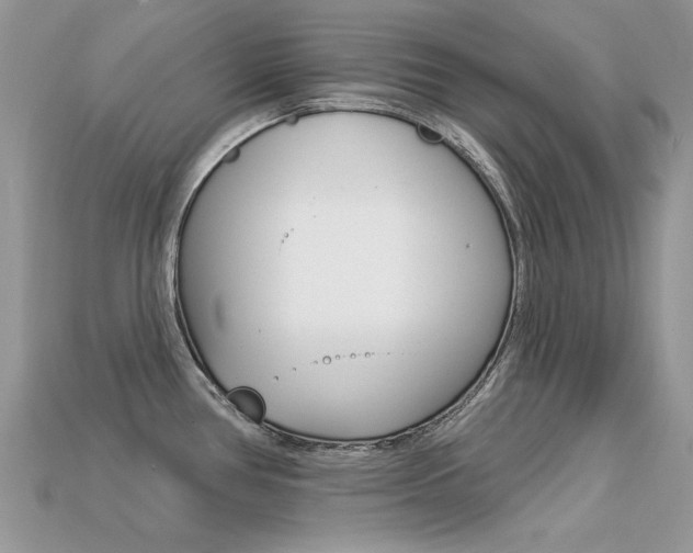 X0000113231386200909100934
