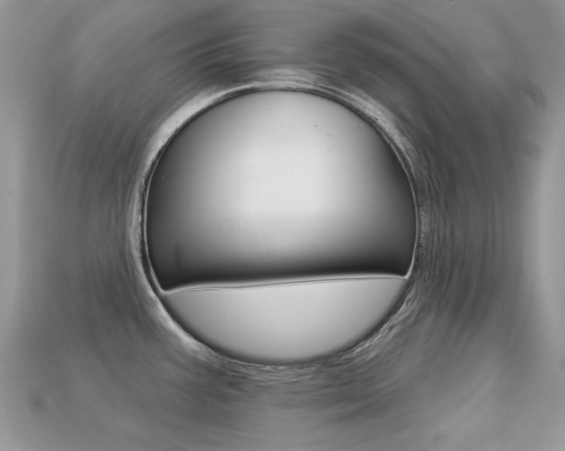 X0000113231387200909100934