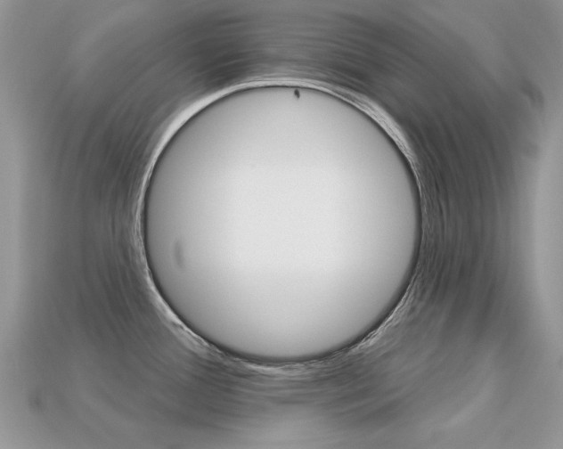 X0000113231388200909100934